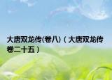 大唐双龙传(卷八)（大唐双龙传 卷二十五）
