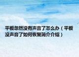 平板忽然没有声音了怎么办（平板没声音了如何恢复简介介绍）