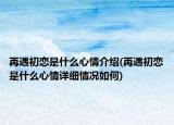 再遇初恋是什么心情介绍(再遇初恋是什么心情详细情况如何)