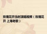 玫瑰花开当时演唱视频（玫瑰花开 上海老歌）