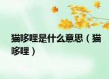 猫哆哩是什么意思（猫哆哩）