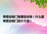 脊索动物门有哪些动物（什么是脊索动物门简介介绍）