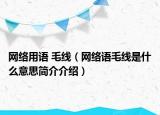 网络用语 毛线(网络语毛线是什么意思简介介绍)