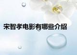宋智孝电影有哪些介绍