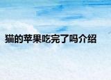 猫的苹果吃完了吗介绍