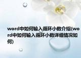 word中如何输入循环小数介绍(word中如何输入循环小数详细情况如何)