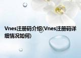 Vnes注册码介绍(Vnes注册码详细情况如何)