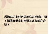 微信忘记支付密码怎么办?教你一招（微信忘记支付密码怎么办简介介绍）