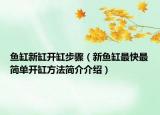 鱼缸新缸开缸步骤（新鱼缸最快最简单开缸方法简介介绍）