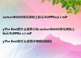 carbonR6600羽毛球拍上标示:ToPPRo(sⅰmP|yThe Best是什么意思介绍 carbonR6600羽毛球拍上标示:ToPPRo sⅰmP|yThe Best是什么意思详细情况如何)
