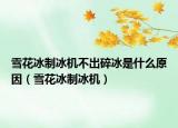 雪花冰制冰机不出碎冰是什么原因（雪花冰制冰机）