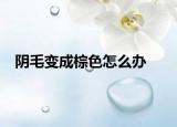 阴毛变成棕色怎么办