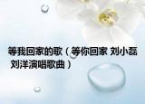 等我回家的歌（等你回家 刘小磊 刘洋演唱歌曲）