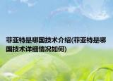 菲亚特是哪国技术介绍(菲亚特是哪国技术详细情况如何)