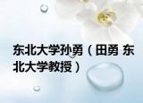 东北大学孙勇（田勇 东北大学教授）