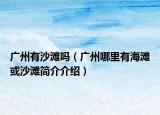 广州有沙滩吗(广州哪里有海滩或沙滩简介介绍)
