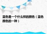 蓝色是一个什么样的颜色（蓝色 颜色的一种）