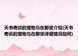 天书奇谈的宠物岛在那里介绍(天书奇谈的宠物岛在那里详细情况如何)