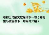 老将出马搞笑歇后语下一句（老将出马歇后语下一句简介介绍）