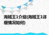 海贼王1介绍(海贼王1详细情况如何)