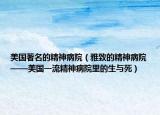 美国著名的精神病院（雅致的精神病院——美国一流精神病院里的生与死）