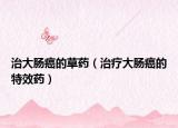 治大肠癌的草药（治疗大肠癌的特效药）