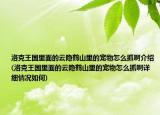 洛克王国里面的云隐鹤山里的宠物怎么抓啊介绍(洛克王国里面的云隐鹤山里的宠物怎么抓啊详细情况如何)