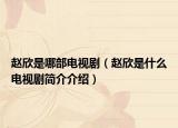 赵欣是哪部电视剧（赵欣是什么电视剧简介介绍）