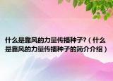 什么是靠风的力量传播种子?（什么是靠风的力量传播种子的简介介绍）