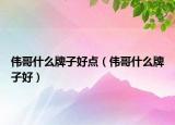 伟哥什么牌子好点（伟哥什么牌子好）