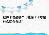 社保卡号是哪个（社保卡卡号是什么简介介绍）