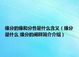 缘分的缘和分各是什么含义（缘分是什么 缘分的阐释简介介绍）