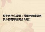 阳字有什么成语（带阳字的成语有多少都有哪些简介介绍）