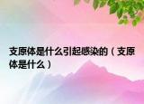 支原体是什么引起感染的（支原体是什么）