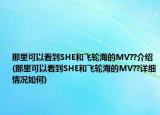 那里可以看到SHE和飞轮海的MV??介绍(那里可以看到SHE和飞轮海的MV??详细情况如何)