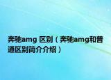 奔驰amg 区别（奔驰amg和普通区别简介介绍）
