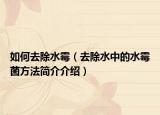 如何去除水霉（去除水中的水霉菌方法简介介绍）