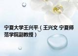 宁夏大学王兴平（王兴文 宁夏师范学院副教授）