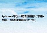 iphonex怎么一键清理缓存（苹果x如何一键清理缓存简介介绍）