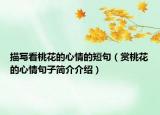 描写看桃花的心情的短句（赏桃花的心情句子简介介绍）