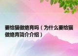 要给猫做绝育吗（为什么要给猫做绝育简介介绍）