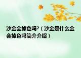 沙金会掉色吗?（沙金是什么金会掉色吗简介介绍）