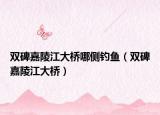 双碑嘉陵江大桥哪侧钓鱼（双碑嘉陵江大桥）