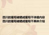 四川的葡萄被晒成葡萄干详细内容 四川的葡萄被晒成葡萄干具体介绍