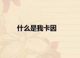 什么是我卡因