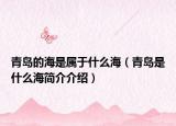 青岛的海是属于什么海（青岛是什么海简介介绍）