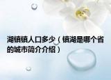 湖镇镇人口多少（镇湖是哪个省的城市简介介绍）
