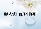《狼人杀》有几个侧写
