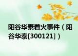 阳谷华泰着火事件（阳谷华泰[300121]）