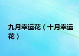 九月幸运花（十月幸运花）